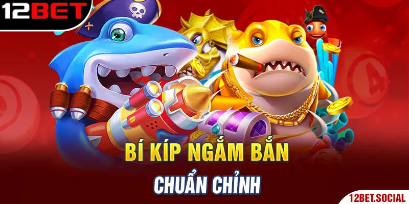 Bí kíp ngắm bắn chuẩn chỉnh