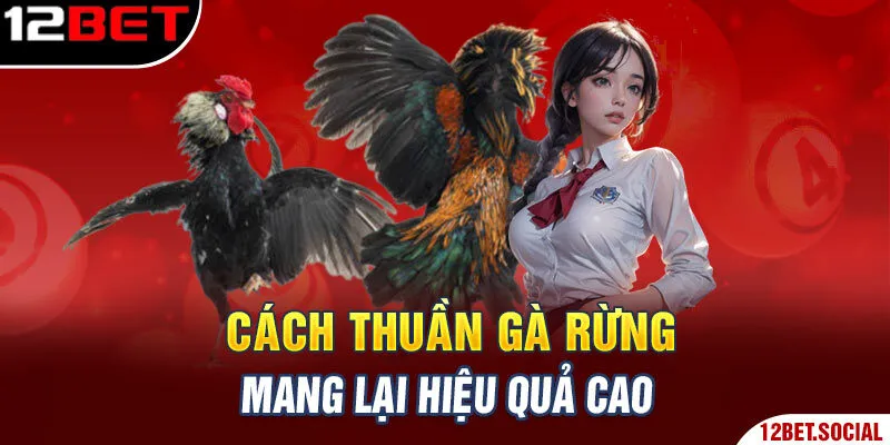 Cách thuần gà rừng mang lại hiệu quả cao