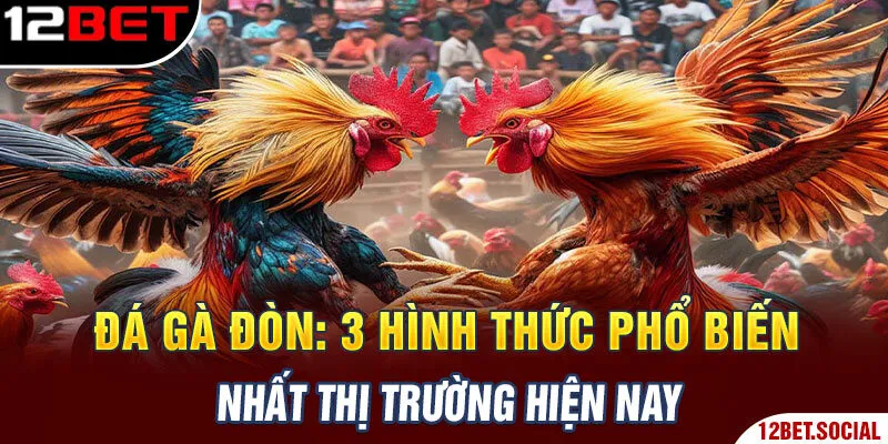 Đá Gà Đòn: 3 Hình Thức Phổ Biến Nhất Thị Trường Hiện Nay