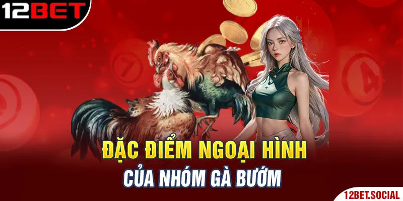 Đặc điểm ngoại hình của nhóm gà bướm