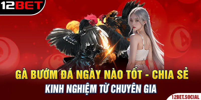 Gà Bướm Đá Ngày Nào Tốt - Chia Sẻ Kinh Nghiệm Từ Chuyên Gia