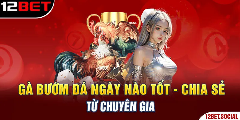 Gà bướm đá ngày nào tốt - Chia sẻ từ chuyên gia