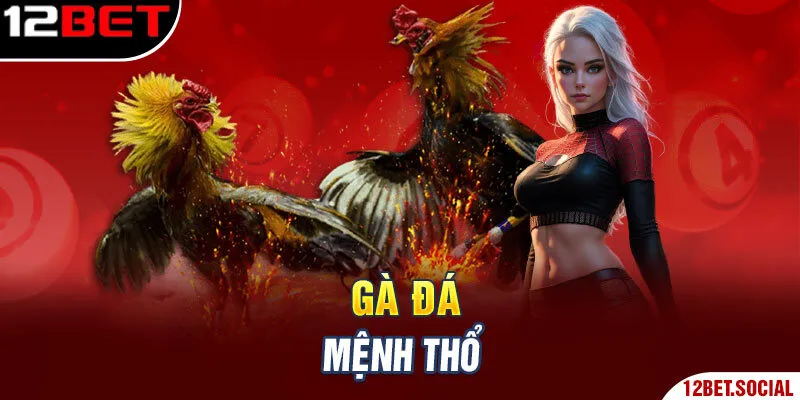 Gà đá mệnh Thổ