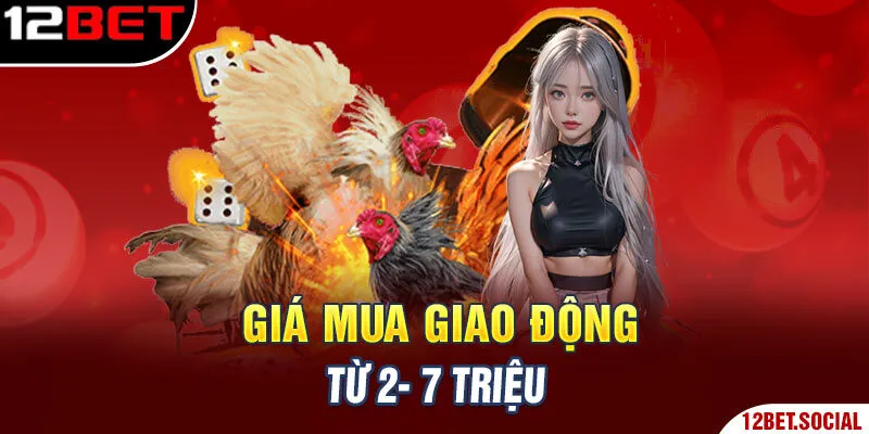 Giá mua giao động từ 2- 7 triệu