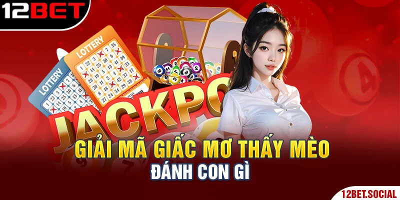 Giải mã giấc mơ thấy mèo đánh con gì