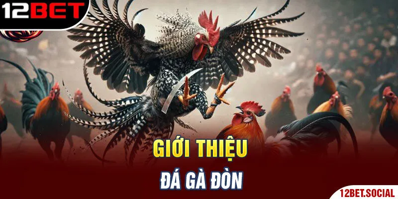 Giới thiệu đá gà đòn