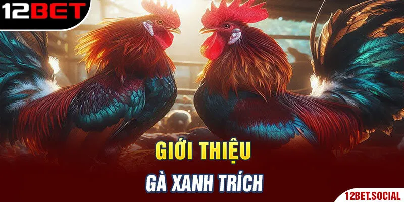 Giới thiệu gà xanh trích