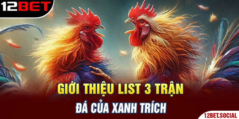 Giới thiệu list 3 trận đá của xanh trích