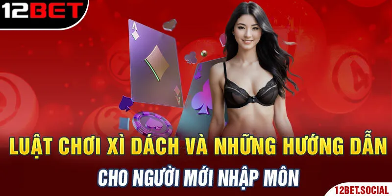 Luật Chơi Xì Dách Và Những Hướng Dẫn Cho Người Mới Nhập Môn