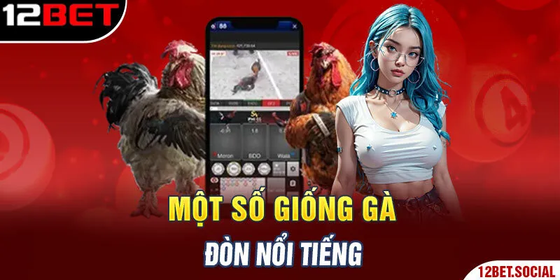 Một số giống gà đòn nổi tiếng