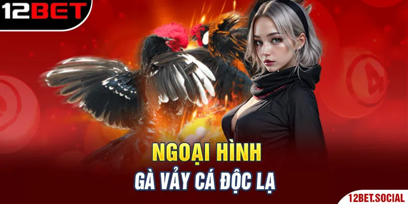 Ngoại hình gà vảy cá độc lạ