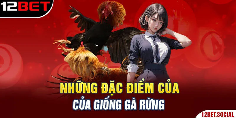 Những đặc điểm của giống gà rừng