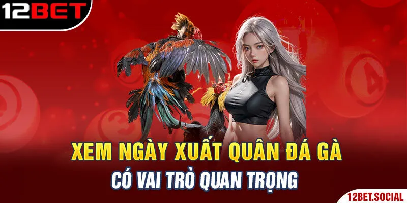 Xem ngày xuất quân đá gà có vai trò quan trọng