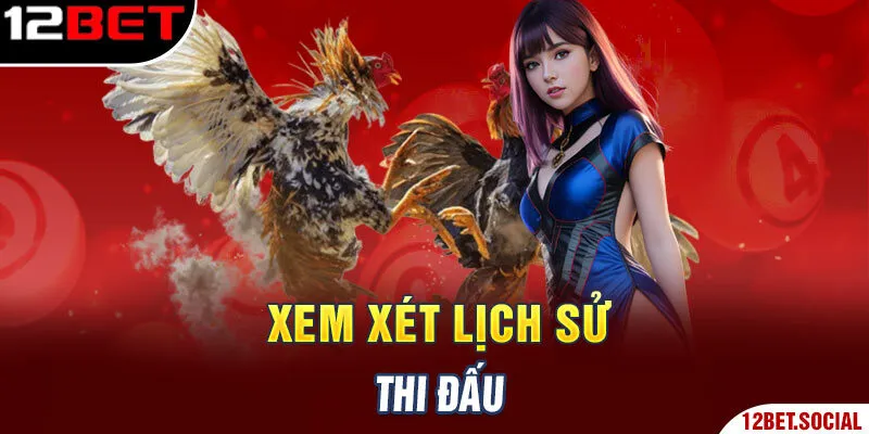 Xem xét lịch sử thi đấu